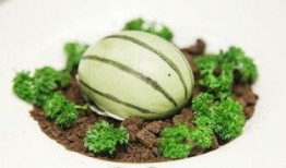 吃瓜广州网红,揭秘城市生活趣味瞬间