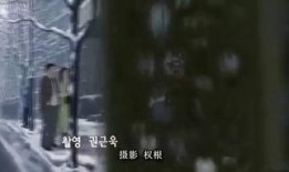 密爱在线观看视频,揭秘虚拟世界中的情感纠葛